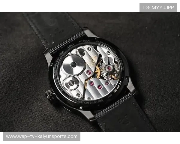 世界舵手锦标赛，东道主表现出色，不断冲击纪录，舵手百科