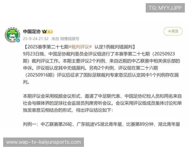 裁判争议判罚引发联盟调查 要求提升标准，裁判 案件